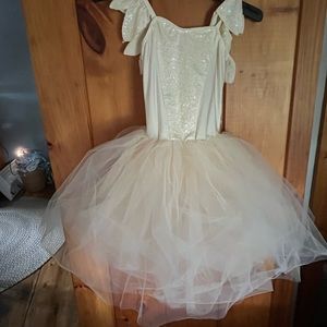 Enchanted Dance Ballet Costume